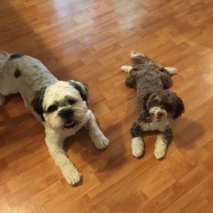 Meet your Posher, Angel